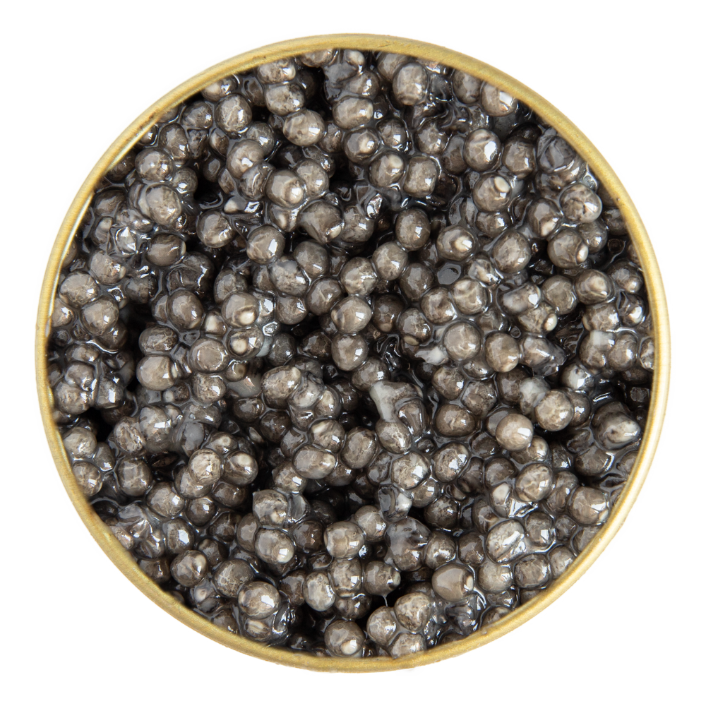 Beluga CRU Æmillius Caviar