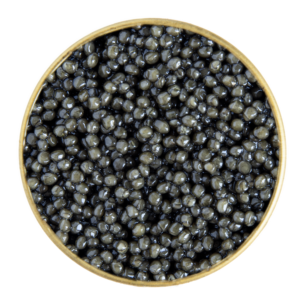 Руска есетра