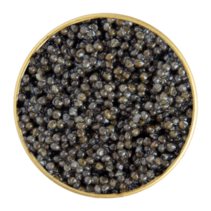 Руска есетра Classic 1