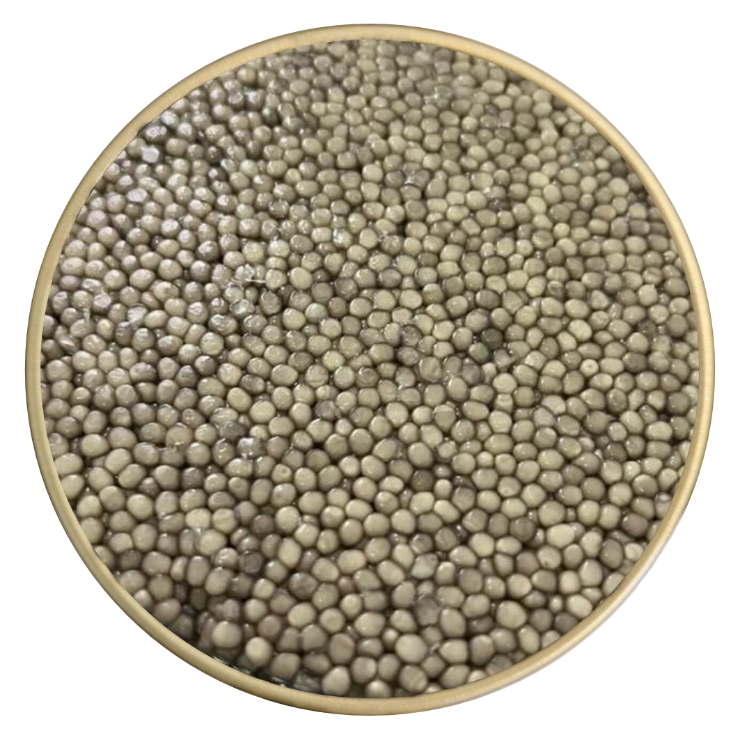 Албинос HUSO HUSO