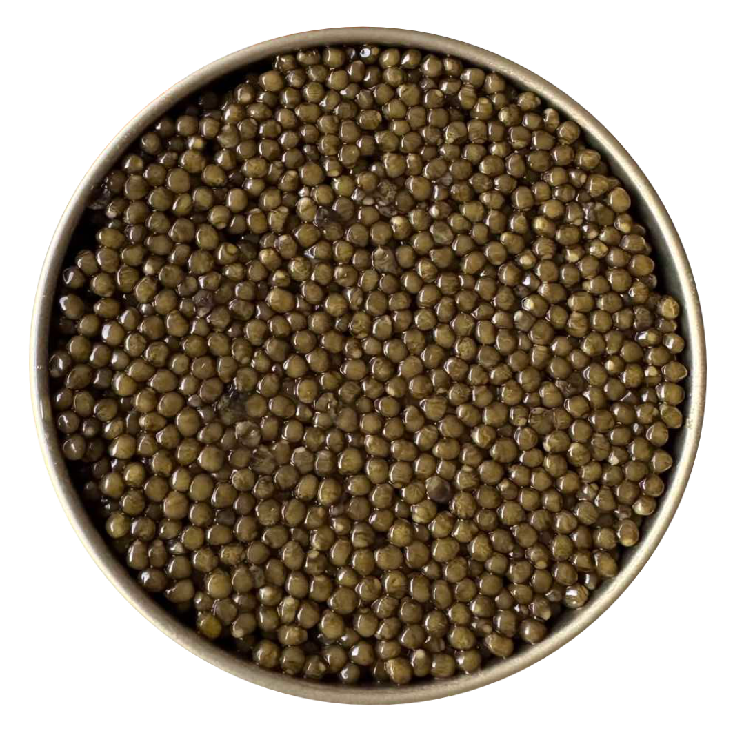 Сибирска есетра