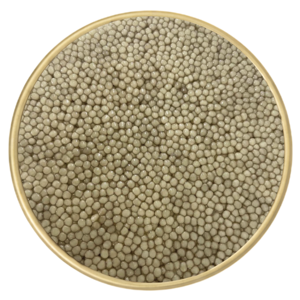 Albinos Beluga Æmillius Caviar