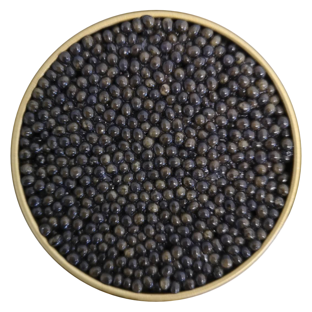 Руска есетра