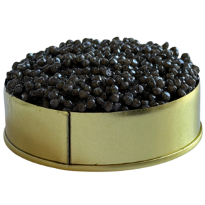 Moruna Æmillius Caviar 4