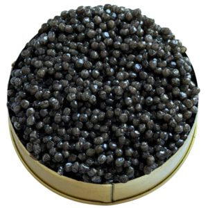 Moruna Æmillius Caviar 3
