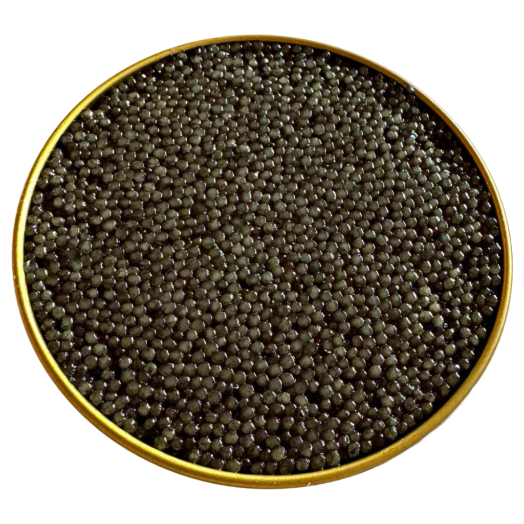 Paddlefish Æmillius Caviar