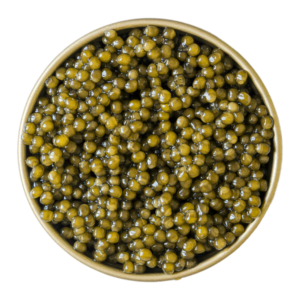 Baerii Gold Æmillius Caviar 1