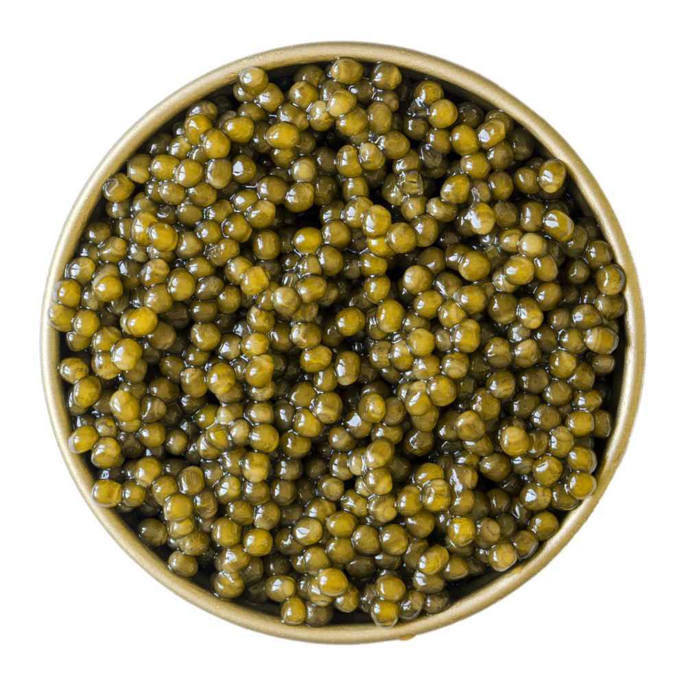 Baerii Gold Æmillius Caviar