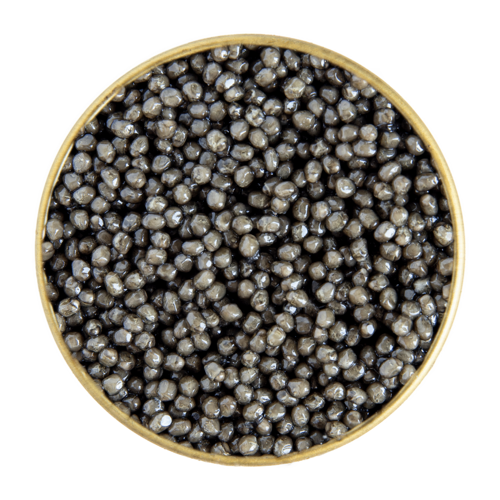 Руска есетра Royal